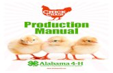 Production Manual - ACES.edu · hatchery and be properly vaccinated. ... Chick Chain Production Manual 3 Breed Plumage Color Eggshell Color ... based diets may lead to