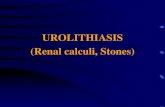 UROLITHIASIS (Renal calculi, Stones) - Barbados … stones •Calculus formation at any level of collecting system •Most arise from kidneys •Calcium Oxalate stones •Mixed stones