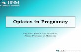 Amy Levi, PhD, CNM, WHNP-BC Albers Professor of … in Pregnancy.pdfAmy Levi, PhD, CNM, WHNP-BC Albers Professor of Midwifery . I have nothing to disclose ... •Opiates are not teratogens