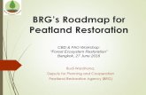 BRG’s Roadmap for - cbd.int · BRG’s Roadmap for ... Indonesia’s 15-20 mio ha of peatland was mostly undrained and forested until 20 years ago, used for productive selective