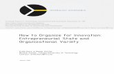 How to Organize for Innovation: Entrepreneurial State …technologygovernance.eu/files/main/2016012808374242.pdfHow to Organize for Innovation: Entrepreneurial State and Organizational