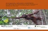 Orangutan, Oil palm and RSPO - home - pubs.iied.orgpubs.iied.org/pdfs/G04178.pdf ·  · 2017-08-10Orangutan, Oil palm and RSPO: Recognising the importance of the threatened forests