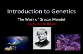 Introduction to Genetics - Mr. Pelton Sciencepeltonscience.weebly.com/uploads/4/6/7/2/46721149/chapter_11_note… · during the formation of gametes. • Gametes – Specialized cell