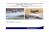 A BIOLOGICAL REVIEW OF AUSTRALIAN MARINE … review of the locally endemic leatherback turtle provides the first comprehensive collation of biological data for the species. While peer