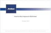 Puerto Rico Exposure Overview 10 10 13 Final.pptx [Read … · Puerto Rico Exposure Overview ... cautioned not to place reliance on the financial projections contained ... Puerto