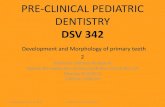 Introduction to pediatric Dentistry - faculty.psau.edu.sa · PRE-CLINICAL PEDIATRIC DENTISTRY DSV 342 Development and Morphology of primary teeth 2 ... maxillary molar.