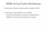 BRB-ArrayTools Workshop - National Institutes of …€“ Fitting parameters – Optimizing with regard to tuning parameters • If a re-sampling method such as cross-validation )