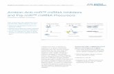 Ambion Anti-miR™ miRNA Inhibitors and Pre-miR™ …€¦ · the pMIR-REPORT™ miRNA Expression Reporter Vector, comprise an integral part of Applied Biosystems complete line of