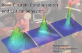 Bose-Einstein Condensation and Critical Behaviorusers.physik.fu-berlin.de/~pelster/Seminar6/donner-slides1.pdf · Bose-Einstein Condensation and Critical Behavior. ... In this Letter