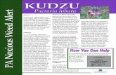Kudzu Kudzu in Pennsylvania - agriculture.pa.gov · Kudzu Kudzu is a state listed nox- ... gram to eradicate populations of kudzu. ... Biology/Ecology Kudzu sites in PA are found