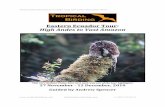 Eastern Ecuador Tour : High Andes to Vast Amazon Ecuador Tour : High Andes to Vast Amazon This rare Andean Potoo, here on a nest, was one of the tour highlights. 27 November - 12 December,