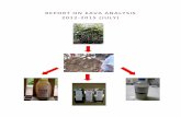 REPORT ON KAVA ANALY SIS 2012-2015 (JULY) · 3 Introduction Kava, Piper methysticum, is a traditional drink of Vanuatu and a number of Pacific countries such as Fiji, Tonga, Samoa