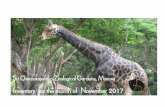 Inventory for the month of November 2017 - Mysore Zoomysorezoo.info/admin/activity_documents/November 2017.pdf · 26 ONE HORNED RHINO Rhinoceros unicornis 1 0 2 TOTAL 94 120 41 255