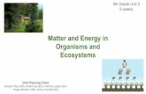 Ecosystems Organisms and Matter and Energy in 5th Grade ...cloud.rpsar.net/edocs/Science/Grade 5/ARSS_Unit_2/5thGrade... · Session 8-9 Investigation (STEM) Session 10-11 Projects