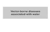 Vector-borne diseases associated with water - uni-due.de · Cyclops (water fleas) Dracunculiasis Vector-borne diseases associated with water . ... Symptoms include fever, ...