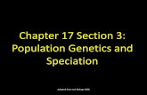Chapter 17 Section 3: Population Genetics and Speciation · Chapter 17 Section 3: Population Genetics and Speciation . ... Recall that speciation is the process of forming ... Chapter