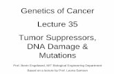 Genetics of Cancer Lecture 35 Tumor Suppressors, DNA ...web.mit.edu/7.03/documents/CancerIII7032005Lecture... · Genetics of Cancer Lecture 35 Tumor Suppressors, DNA Damage & Mutations