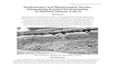 Sedimentary and Metamorphic Rocks: Interpreting …reynolds.asu.edu/SES123/SES123_sed_meta_lab_instructions_final.pdf · Interpreting Ancient Environments (Lab 2) 1 Sedimentary and