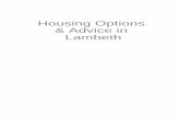 Housing Options & Advice in Lambeth - London CRC … Options & Advice in Lambeth 2 Contents Page 2 Contents 3 Disclaimer 4 - 5 Squatting Law – Advice about renting in Private sector