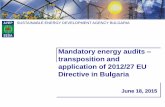 SUSTAINABLE ENERGY DEVELOPMENT AGENCY … energy audits – 2012...Definition of energy audit: ... Electricity supply Instruments for measurement and control ... 14 RES 15 Others 19