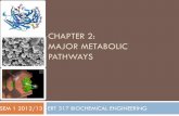 CHAPTER 2: MAJOR METABOLIC PATHWAYS - …portal.unimap.edu.my/portal/page/portal30/Lecturer Notes...CHAPTER 2: MAJOR METABOLIC PATHWAYS ... Compounds (sugars, amino acids) ... Catabolism