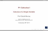P1 Calculus I - Information Engineering Main/Home Pagedwm/Courses/1DF/1DF-L1.pdfP1 2017 1 / 73 P1 Calculus I Calculus of a Single Variable Prof David Murray david.murray@eng.ox.ac.uk
