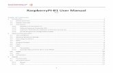 RaspberryPi-B1 User Manual - IB Technology · RaspberryPi-B1 User Manual ... 13.56 MHz ±30 ppm (-20°C - 70°C). f ... Thus the user has to enable the PWM peripheral on IO0 to generate