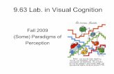 Paradigms of Perception - MIT OpenCourseWare · Describe the perceptual losses that occur because of ... perceptual processes? ... • Cognitive Influences on Perception