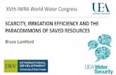 XVth IWRA World Water Congress SCARCITY, … · SCARCITY, IRRIGATION EFFICIENCY AND THE PARACOMMONS OF SAVED RESOURCES Bruce Lankford XVth IWRA World Water Congress