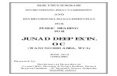 JUNAD DEEP EXTN. OC - Maharashtra Pollution Control … · JUNAD DEEP EXTN. OC (WANI NORTH AREA, WCL) JUNE -2012 ... Kolar Pimpri OC 3.0 ... for the proposed extension project with