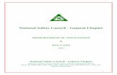 National Safety Council - Gujarat Chapternscgujaratchapter.in/admin/Files/BYE-LAWS.pdf1 National Safety Council - Gujarat Chapter MEMORANDUM OF ASSOCIATION & BYE-LAWS (2011) National
