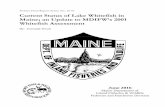 Current Status of Lake Whitefish 16-01 - Maine.gov Status of Lake Whitefish in Maine ..... 6 Lake Whitefish Declines, Causes for Decline, and Potential for Recovery ..... 11 Lake Whitefish