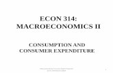 ECON 314: MACROECONOMICS II - UNIVERSITY OF … · ECON 314: MACROECONOMICS II CONSUMPTION AND CONSUMER EXPENDITURE 1 Macroeconomics II Lecture Notes Prepared by Dr. Emmanuel Codjoe