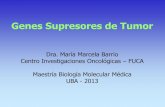 Genes Supresores de Tumor - jmordoh.com.ar · Genes Supresores de Tumor Dra. María Marcela Barrio Centro Investigaciones Oncológicas – FUCA Maestría Biología Molecular Médica
