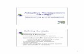 Adaptive Management Strategy - unepscs.org 12... · Adaptive Management Strategy: ... / Planning Project Design ... Monitoring & Evaluation Impact Performance Incentives/ Disincentives