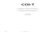 TERMINAL INSPECTION REPORT TECHNICAL QUESTIONNAIRE … · CDI-T TERMINAL INSPECTION REPORT TECHNICAL QUESTIONNAIRE Fourth Edition 1st January 2007 Technical Rev. CDI-T 1/07 …