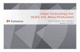 Inkjet Technology for OLED SSL Mass Production · Inkjet Technology For OLED SSL Mass Production Conor Madigan, ... Founded in 2008 ... Inkjet Technology for OLED SSL Mass Production