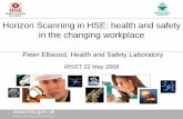 Horizon Scanning in HSE: health and safety in the changing ... · in the changing workplace ... emerging risks, risk management and communication • ...