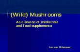 Mushrooms for Health - helsinki.fi van Griensven.pdf(Wild) Mushrooms Leo van Griensven As a source of medicinals and food supplements