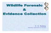 C. S. Dubey - mpforest.gov.in Forensic.pdf · Oleander (Yellow one). 3. Abrus precatorius, (Gomchi or Ratti). ... (Insecticide/ pesticides) etc. 13. Fishing poison (waterhole poisoning