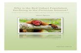 Why is the Red Uakari Population Declining in the … is the Red Uakari Population Declining in the Peruvian Amazon? A study on the Peruvian uakari ecology in the larger Amazonian