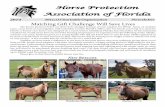 Horse Protection Association of Floridahpaf.org/wp-content/uploads/2017/06/2014-HPAF-Newsletter.pdf · Horse Protection Association of Florida ... EG Watkins Family ... We were so