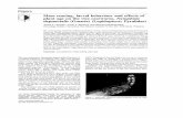 jameslitsinger.files.wordpress.com · Web viewLitsinger, J. A., J. P. Bandong, and N. Chantaraprapha. 1994. Mass rearing, larval behaviour, and effects of plant age on the rice caseworm