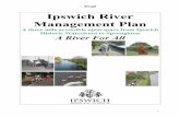 Ipswich River Management Plan · Ipswich River Management Plan ... Pest species ... giving way to angled armour-block river-sides and a flat ...