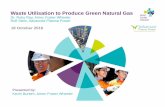 Waste Utilisation to Produce Green Natural Gas Utilisation to Produce Green Natural Gas Dr. Ruby Ray, Amec Foster Wheeler Rolf Stein, Advanced Plasma Power 18 October 2016 Presented
