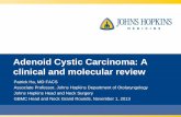 Adenoid Cystic Carcinoma: A clinical and molecular …€¦ ·  · 2017-09-22Adenoid Cystic Carcinoma: A clinical and molecular review Patrick Ha, MD FACS ... Adenoid cystic carcinoma