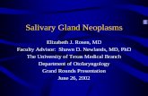 Salivary Gland Neoplasms - University of Texas Medical … ·  · 2014-01-18Salivary Gland Neoplasms Elizabeth J. Rosen, MD Faculty Advisor: ... Adenoid Cystic Carcinoma ... •Submandibular: