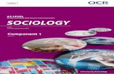 Sample Candidate Style Answers and Commentary …social.ocr.org.uk/files/ocr/AS_Sociology_Ecommunity_Comp_1.pdf · SOCIOLOGY H180 For first teaching in 2015 Qualification Accredited