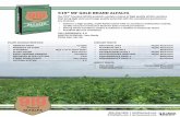 919 MF Gold Alfalfa Tech Sheet · 919® MF GOLD BRAND ALFALFA Our 919® branded alfalfa products contain a blend of high quality alfalfa varieties that bring high yield and forage