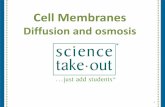 Cell Membranes - Science Take-Out€¦ · Diffusion and Osmosis ... Two 40-minute class periods + homework. science takeout lust add students Kit contains Dialysis tubing Starch packing